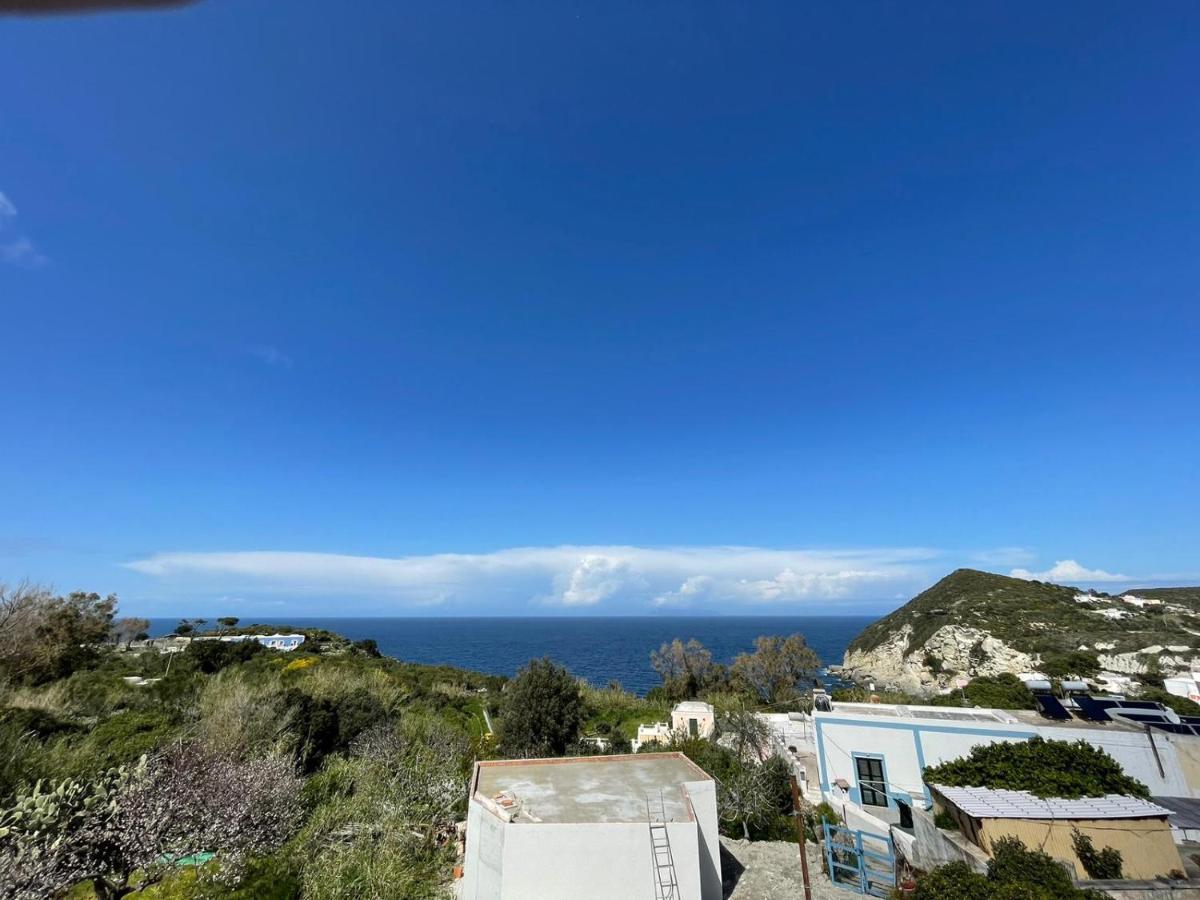 Palmapiana Ponza